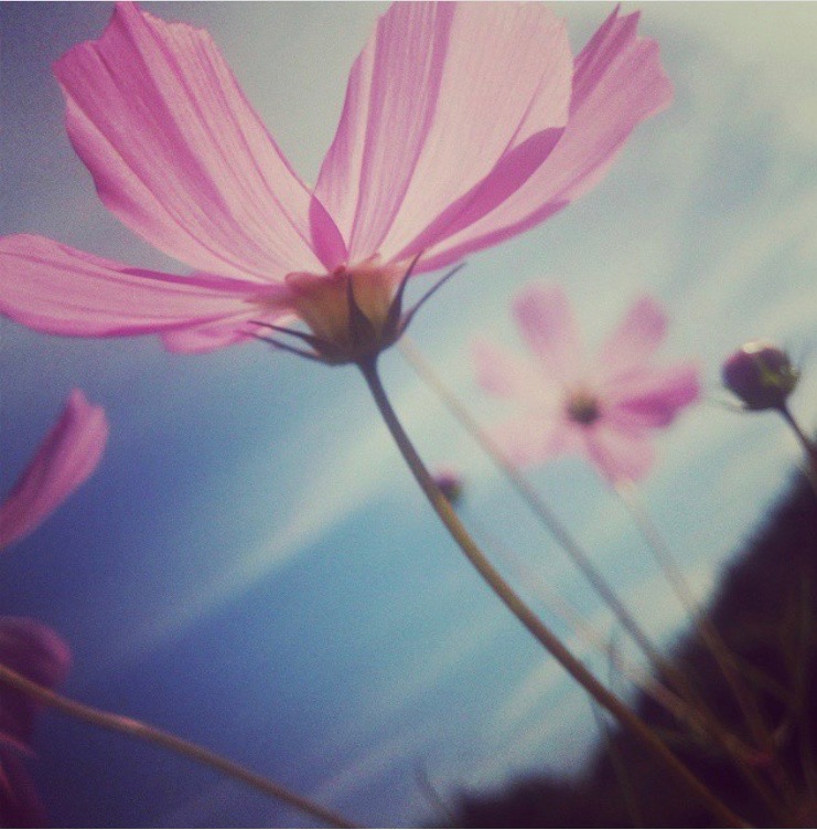 祝！ブログ開設！